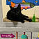 Binx