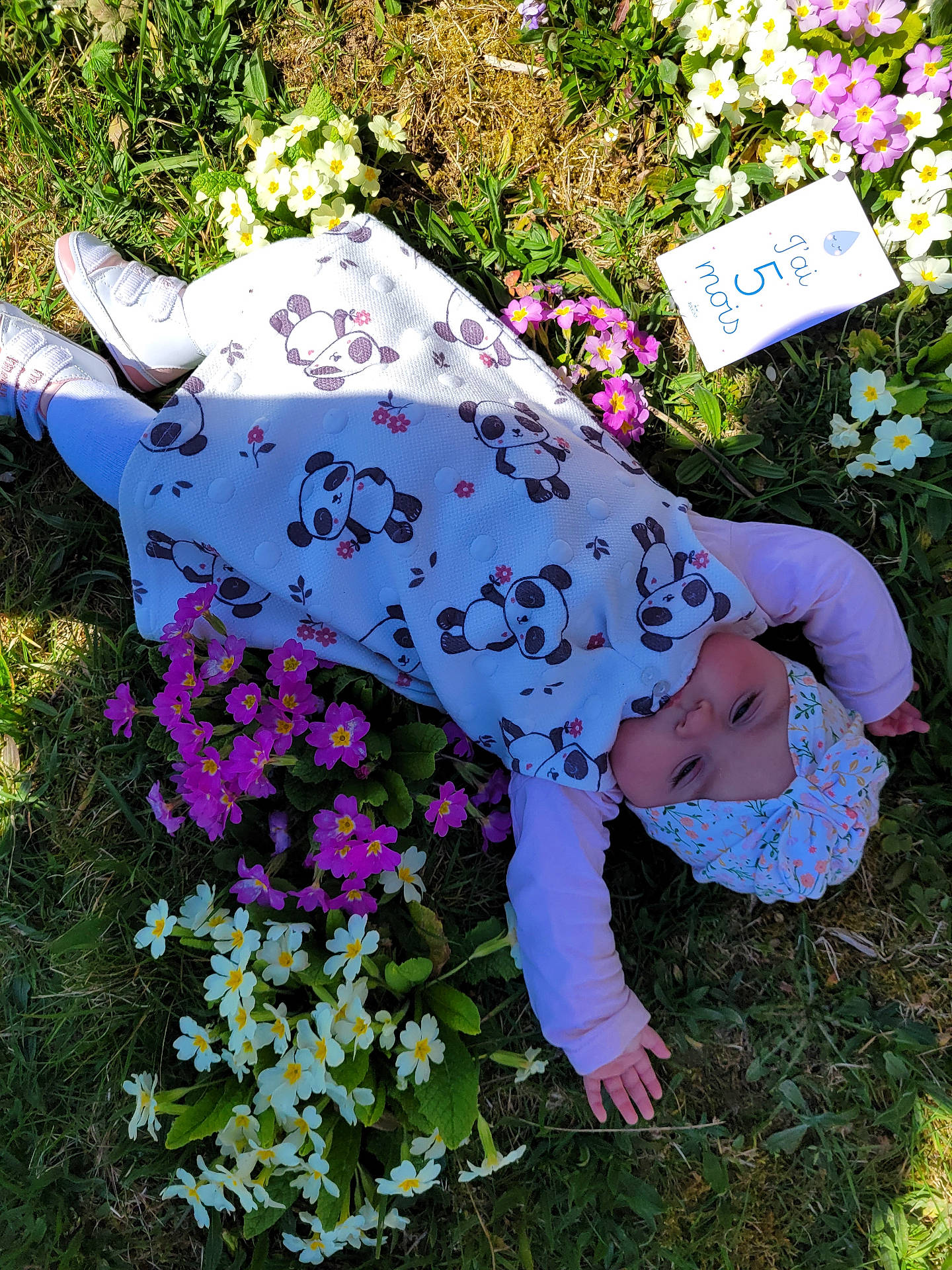 Lucie a rejoint le concours — aidez-le/la à gagner de superbes lots ! baby, bonnet, cap, clothing, daisy, face, flower, flowerarrangement, flowerbouquet, footwear, geranium, glove, grass, hat, head, person, petal, plant, purple, shoe