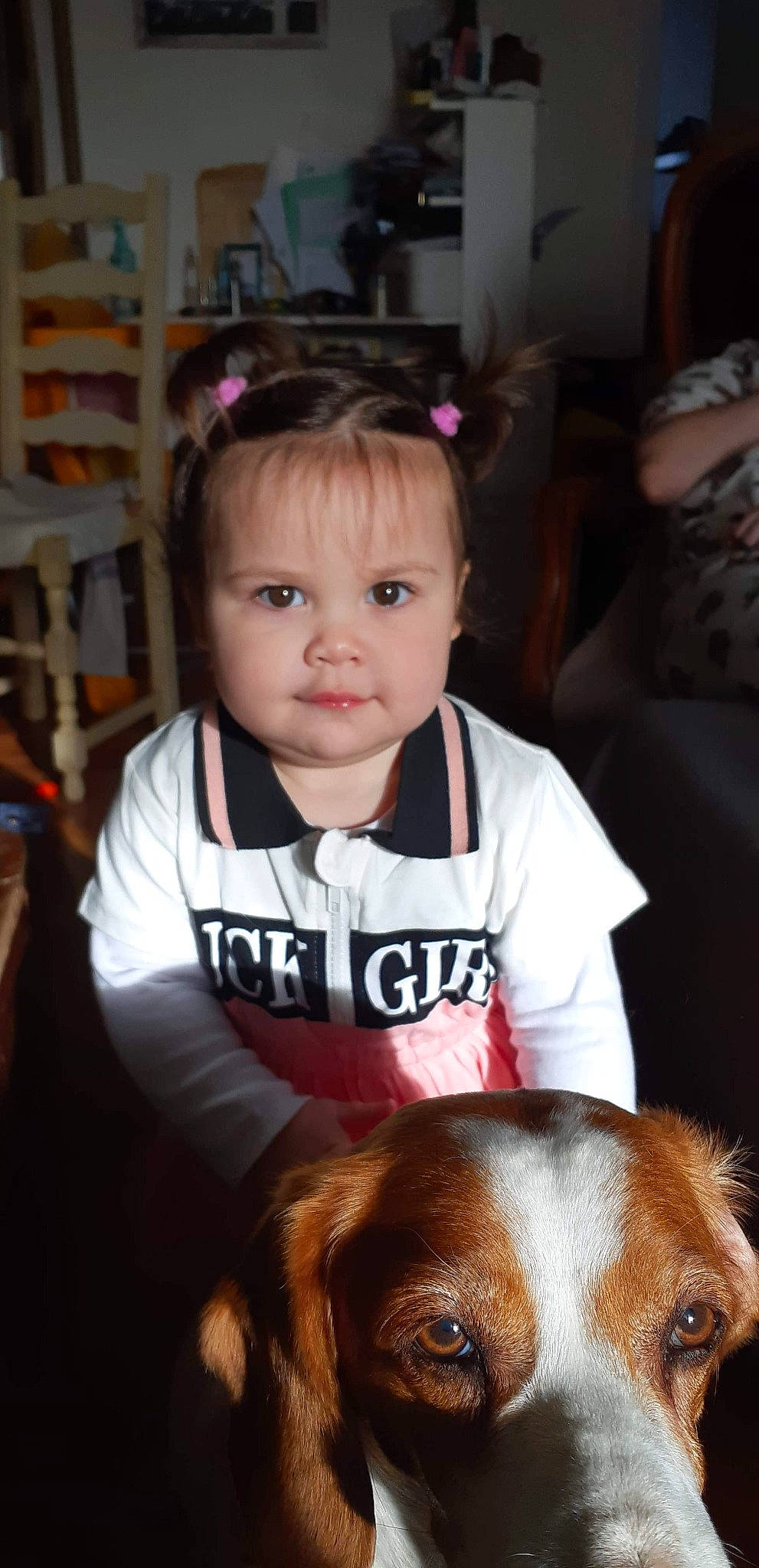 Lyanna a rejoint le concours — aidez-le/la à gagner de superbes lots ! baby_toddler_clothing, brown_hair, carnivore, chair, cheek, child, companion_dog, dog, dog_breed, ear, eyelash, happy, iris, mammal, nose, organ, person, shelf, skin, toddler