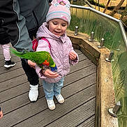 Aria is registered to the contest to win money with this photo: child, girl, parrot, bird, feeding, pink_jacket, hat, pom_pom, outdoor, wooden_deck, glass_barrier, nature, happy, animal, colorful, casual_clothing, person, smile, daylight, playful