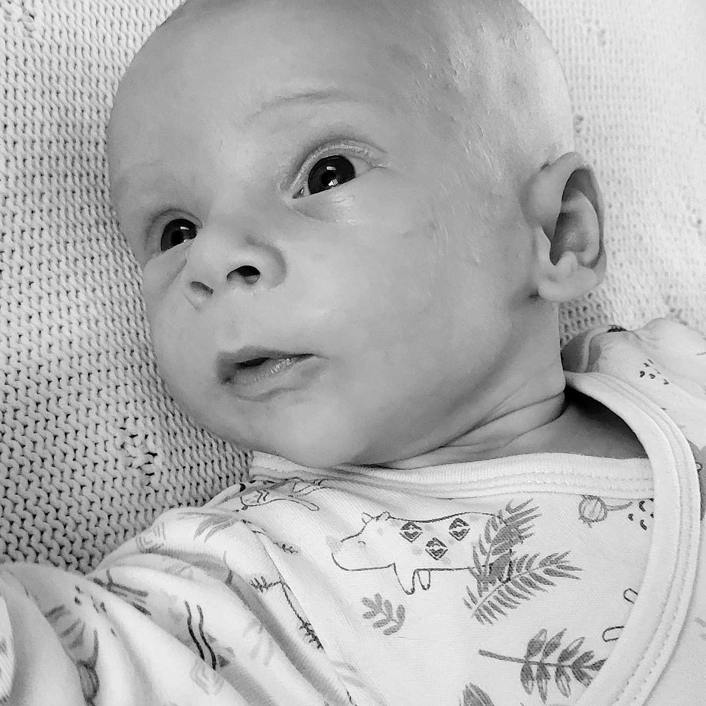 Ganaël a rejoint le concours — aidez-le/la à gagner de superbes lots ! animal_print, baby, black_and_white, child, closeup, clothing, cute, eyes, face, infant, knitted_blanket, newborn, onesie, pattern, person, portrait, resting, sleepwear, soft_texture, young