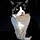 Kiddy Cat