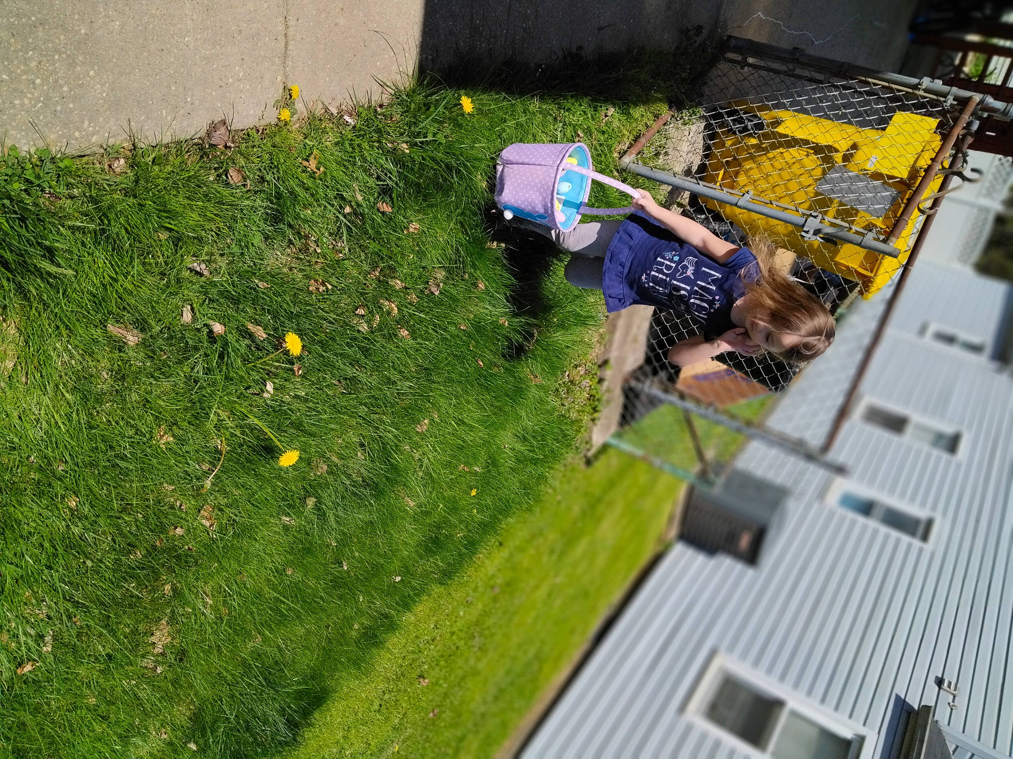 Niomi is registered to the contest to win money with this photo: artificial_turf, backyard, facade, flooring, games, garden, grass, grassland, groundcover, landscape, lawn, leisure, person, plant, recreation, roof, shadow, shrub, sidewalk, urban_design