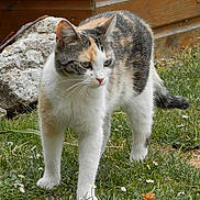 Lili a rejoint le concours — aidez-le/la à gagner de superbes lots !