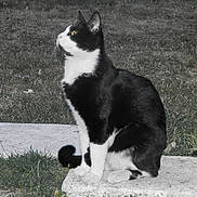 Lulu a rejoint le concours — aidez-le/la à gagner de superbes lots !