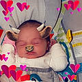 Ashton T.
