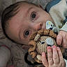 baby, blanket, child, closeup, comfort, crocheted_toy, cute, eyes, face, giraffe_blanket, hand, indoor, infant, lion, lying_down, pacifier, portrait, sleepwear, soft_toy, toy