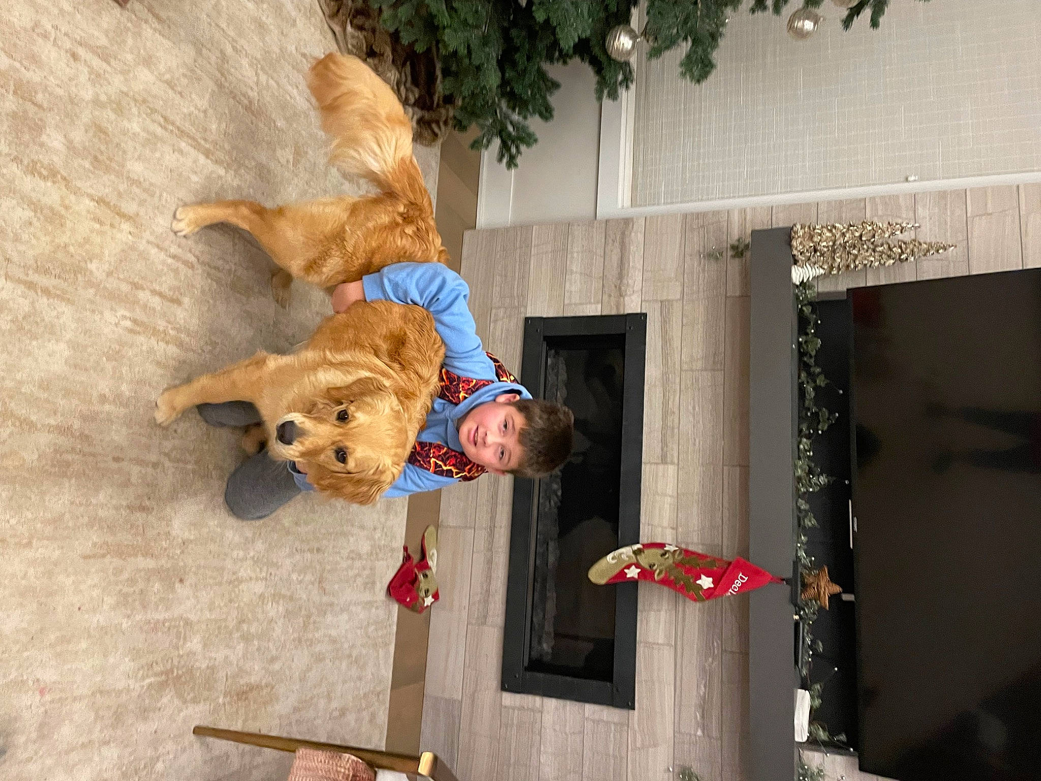 Jessie May joined the competition — help win amazing prizes! building, canidae, carnivore, companion_dog, dog_breed, facade, fawn, felidae, fun, fur, happy, leash, leisure, smile, sporting_group, tree, window, wood, working_animal