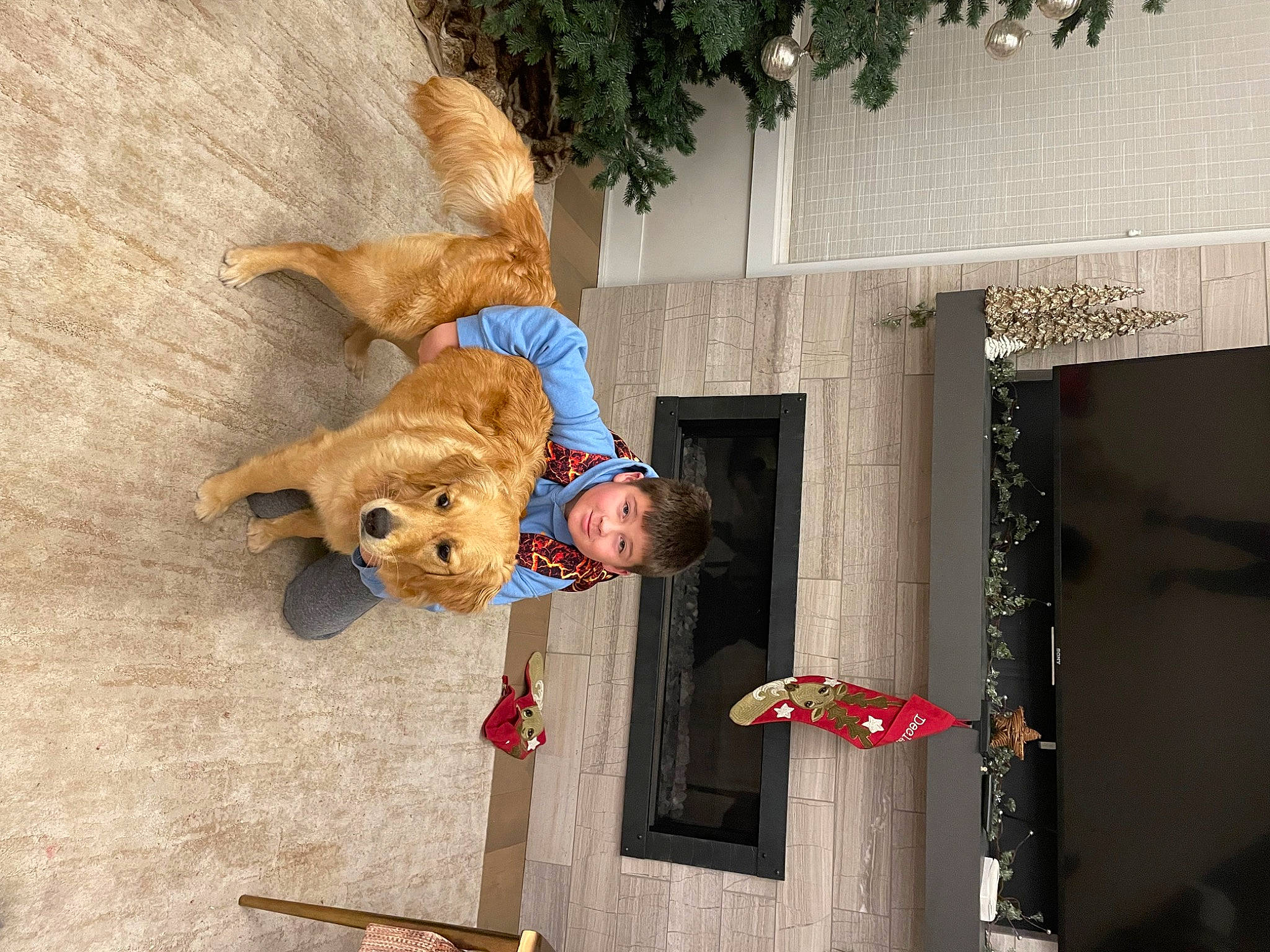 Jessie May is registered to the contest to win money with this photo: big_cats, building, canidae, companion_dog, facade, fawn, felidae, fun, fur, happy, hat, leisure, smile, stuffed_toy, teddy_bear, toy, tree, wood