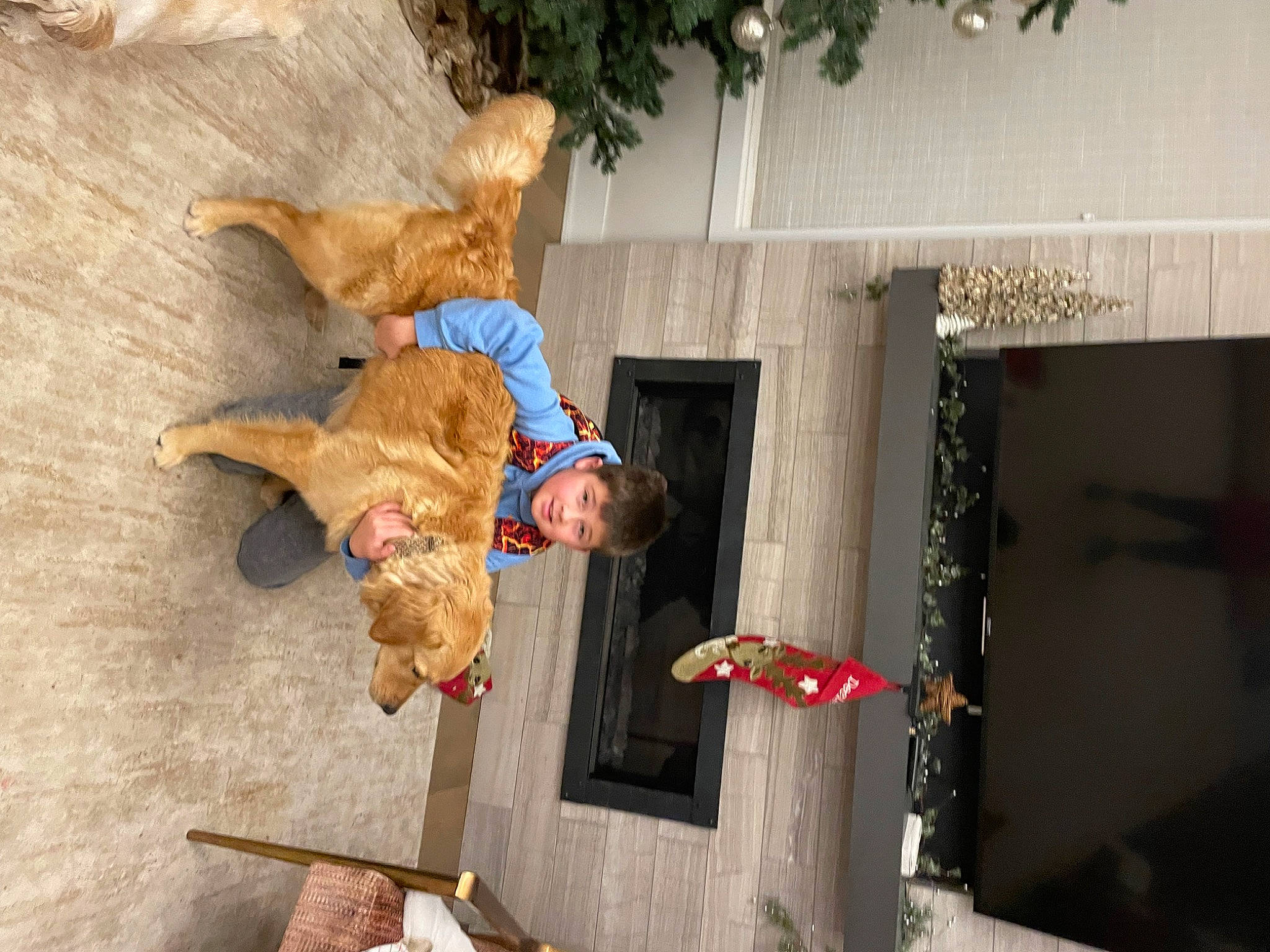 Jessie May is registered to the contest to win money with this photo: canidae, companion_dog, door, event, fawn, fun, fur, happy, leisure, smile, sporting_group, tree, window, wood, working_animal