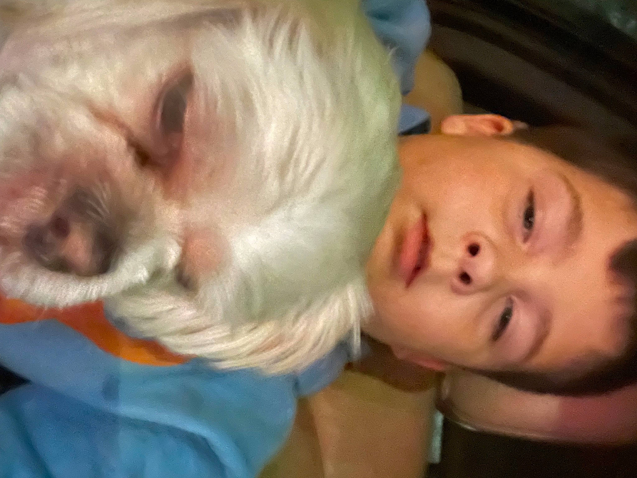 Rancher joined the competition — help win amazing prizes! baby, carnivore, cheek, comfort, companion_dog, dog, dog_breed, ear, eyelash, forehead, hair, human_body, iris, jaw, mouth, neck, nose, skin, toddler, vertebrate