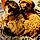 Snickers And Beau