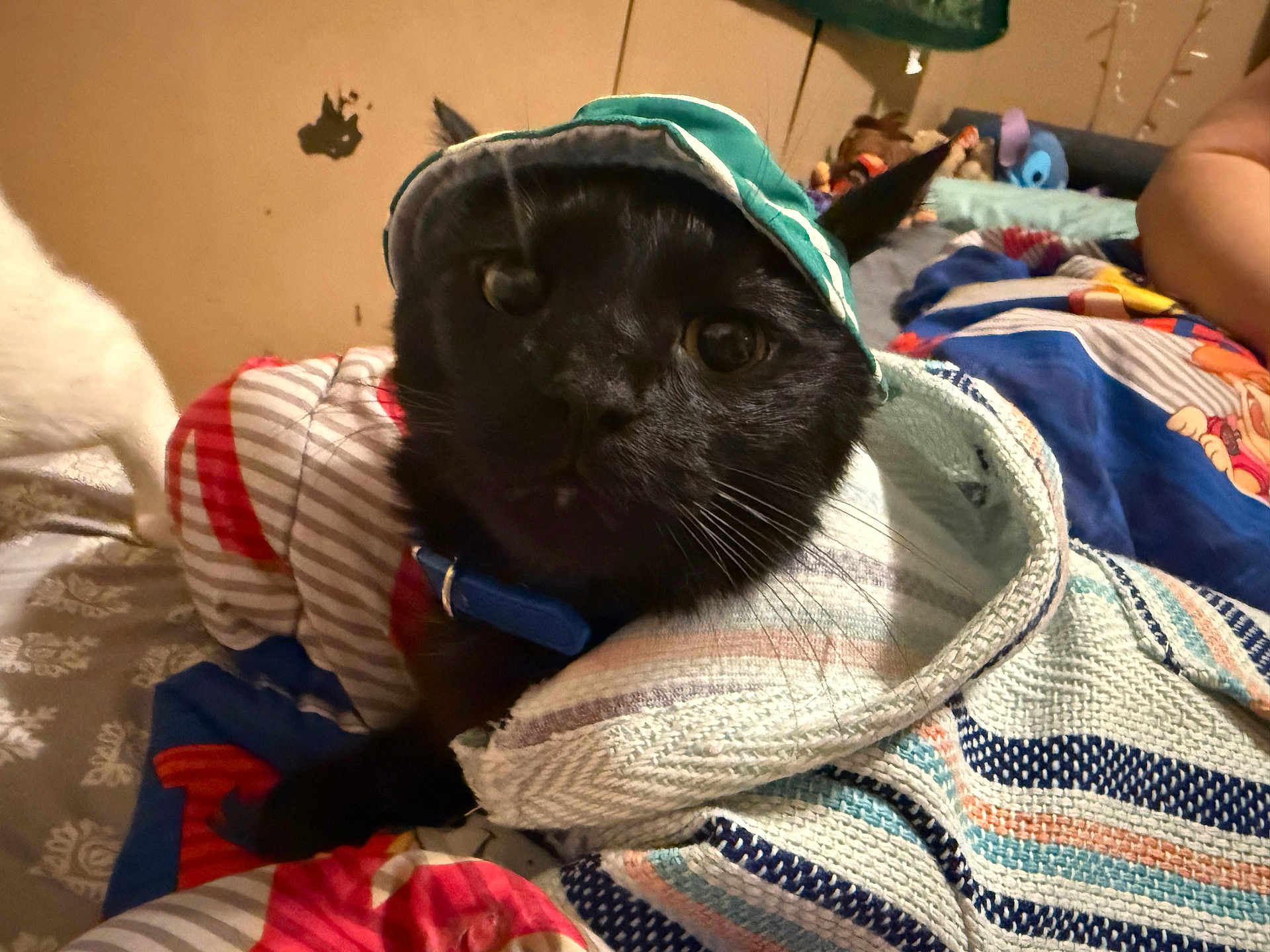 Salem
