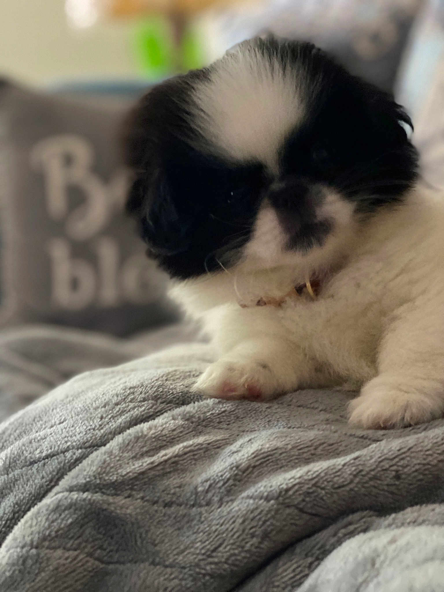 Oreo