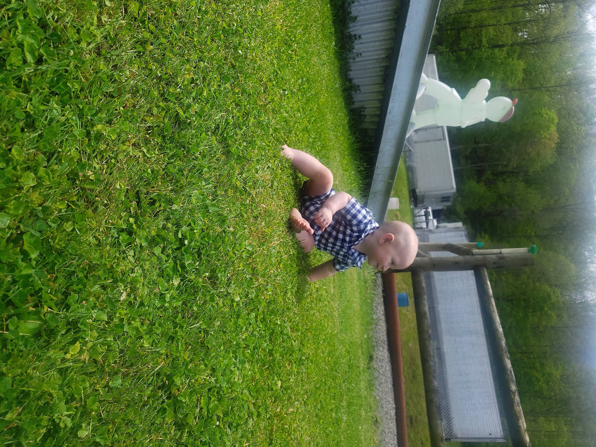 Axton joined the competition — help win amazing prizes! adventure, grass, grass_family, leisure, person, plant, recreation