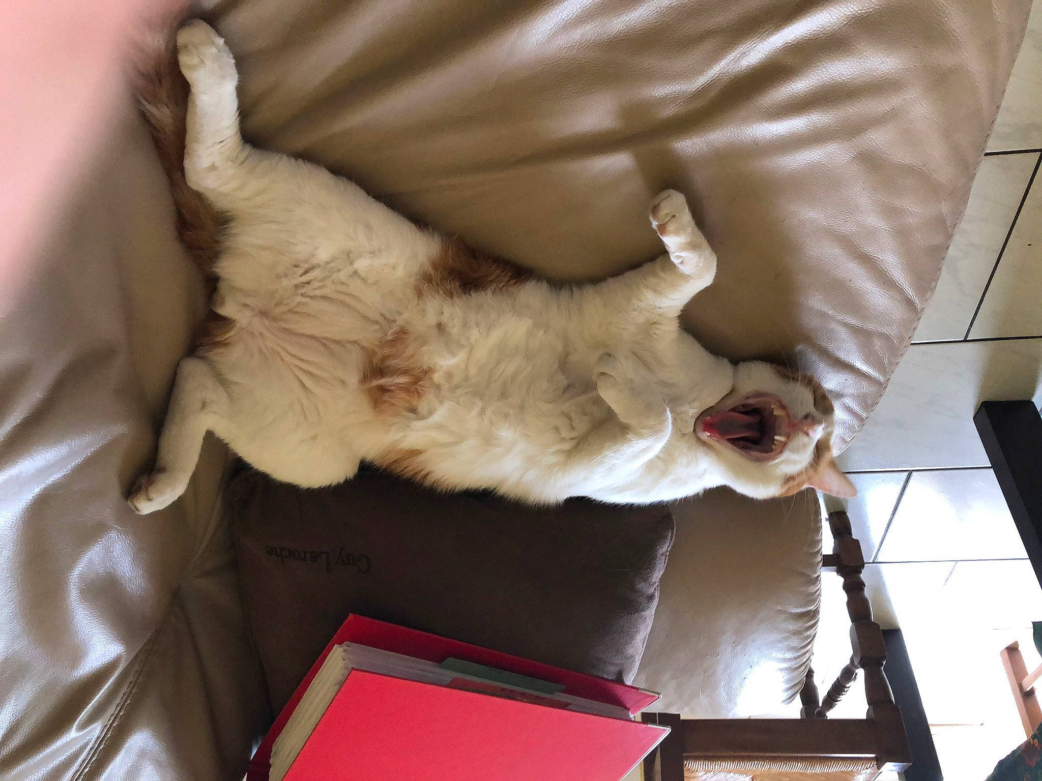 Poumba