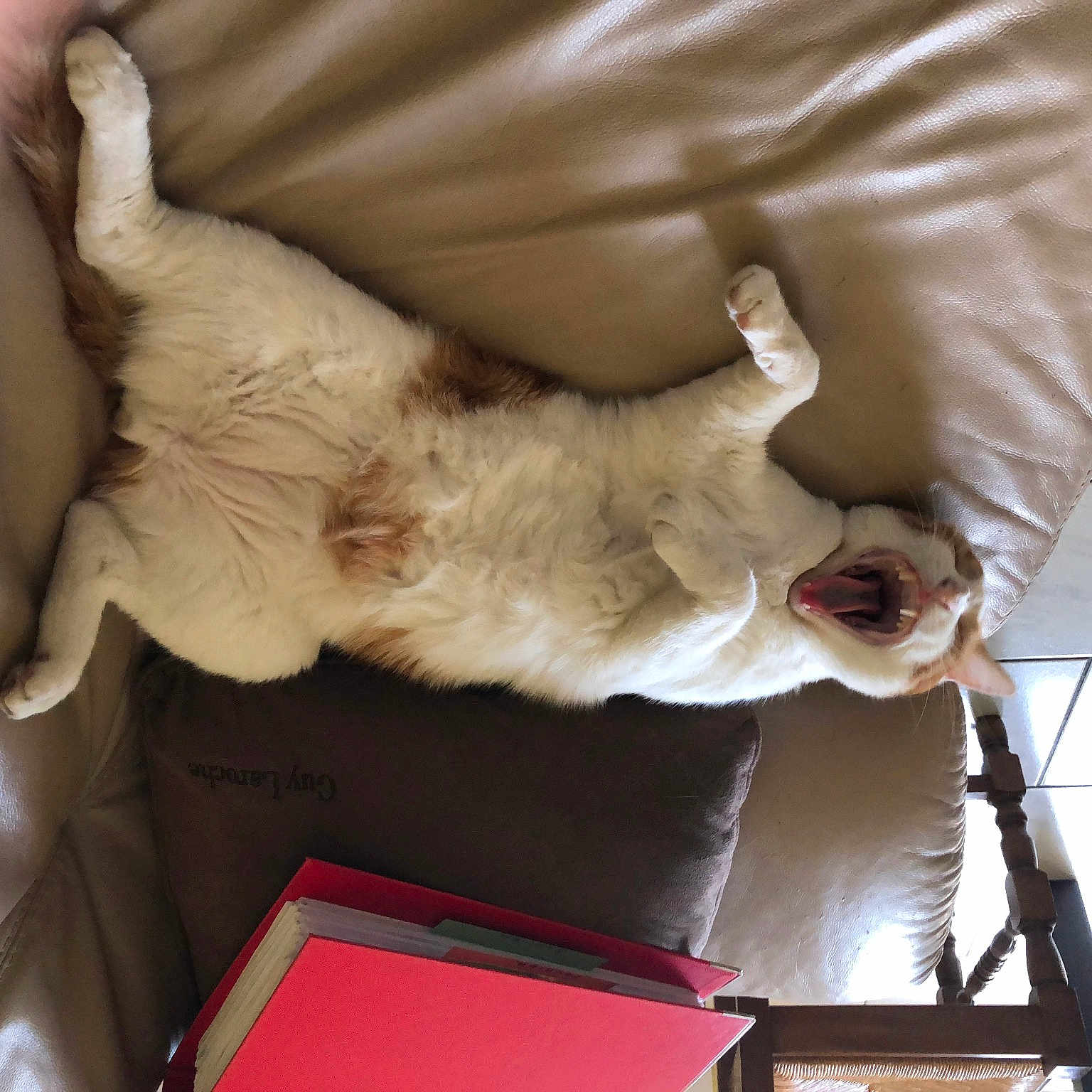 Poumba