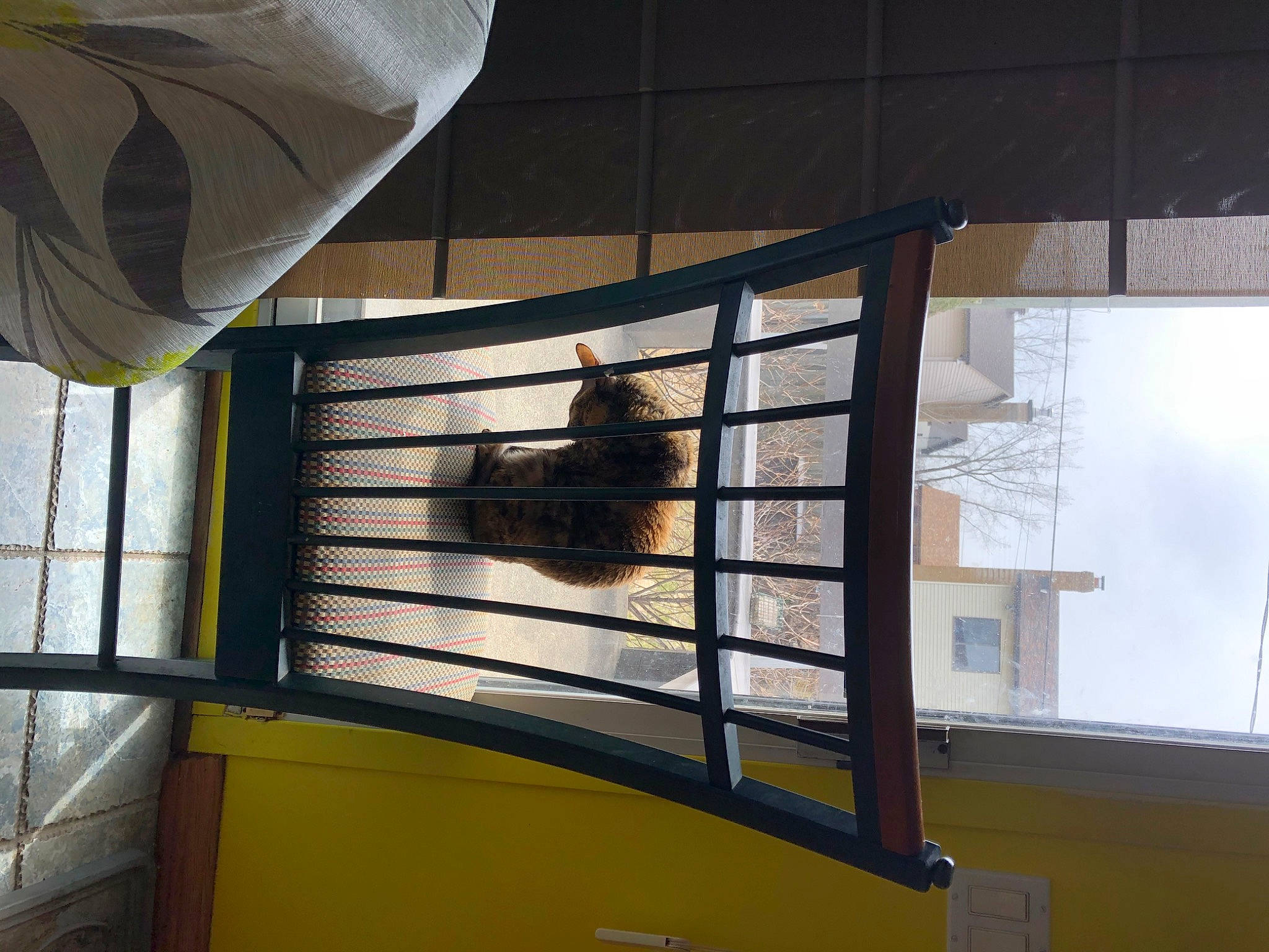 Pixel participe au concours pour gagner de l'argent avec cette photo : building, ceiling, composite_material, daylighting, fixture, flooring, glass, handrail, house, interior_design, metal, pet_supply, room, shade, steel, tints_and_shades, window, window_treatment, wood, yellow