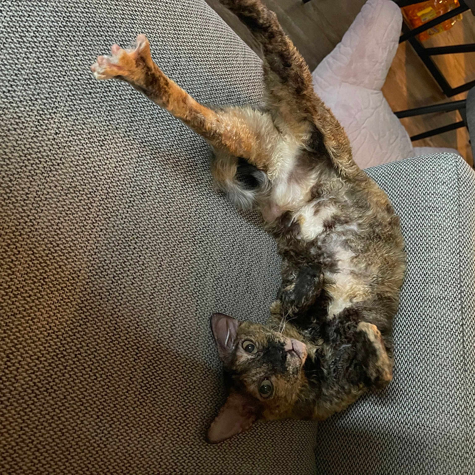 Pixel