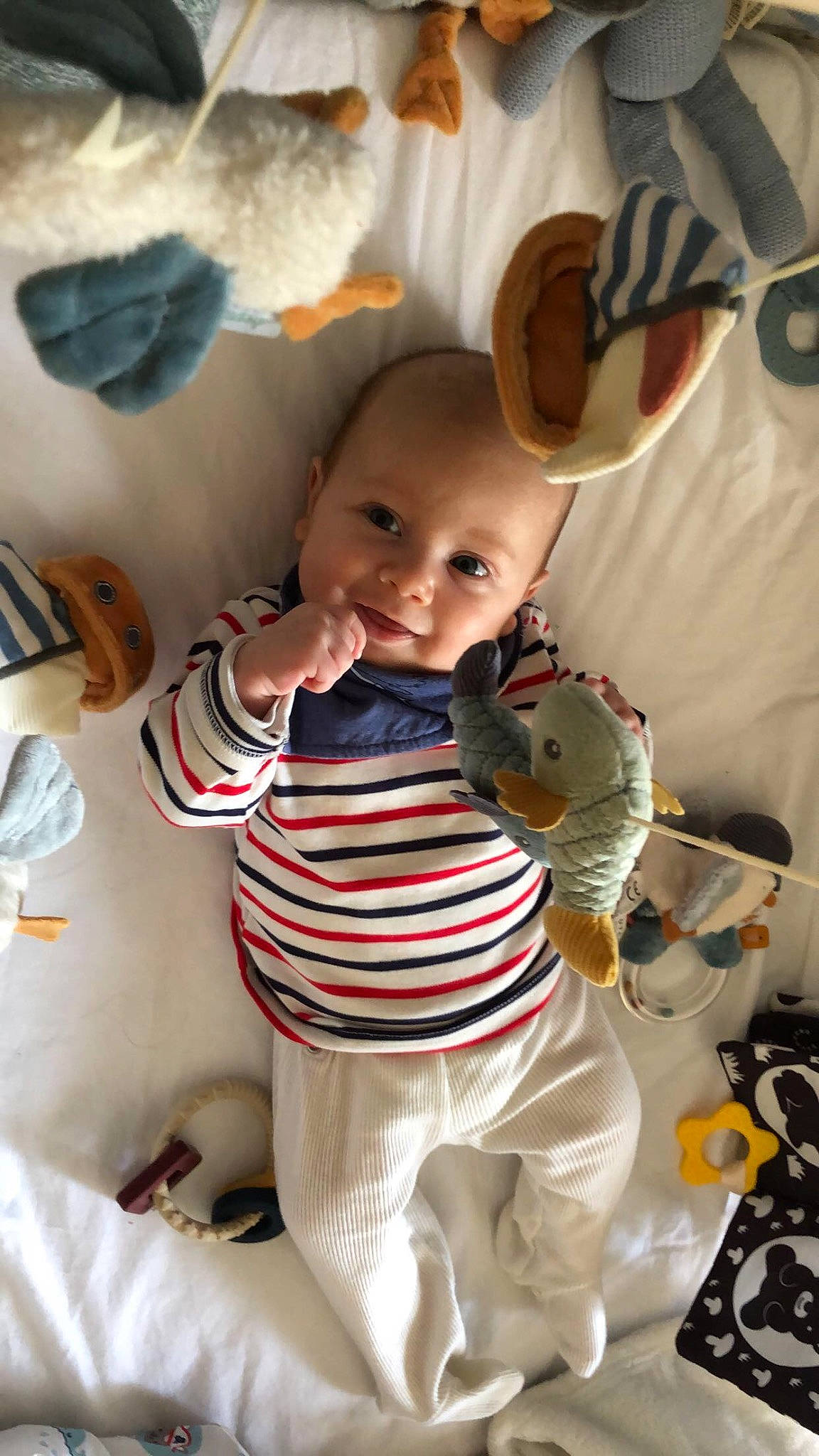 Henry a rejoint le concours — aidez-le/la à gagner de superbes lots ! baby, baby_toddler_clothing, child, event, fun, fur, happy, linens, mammal, pattern, person, room, sleeve, smile, stuffed_toy, t_shirt, textile, toddler, toy, vertebrate