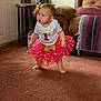 birthday, bow, carpet, celebration, child, curious, cute, decor, furniture, gold, headband, home, indoor, living_room, person, pink, standing, toddler, tutu, white_shirt