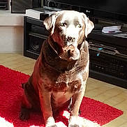 Angelo participe au concours pour gagner de l'argent avec cette photo :