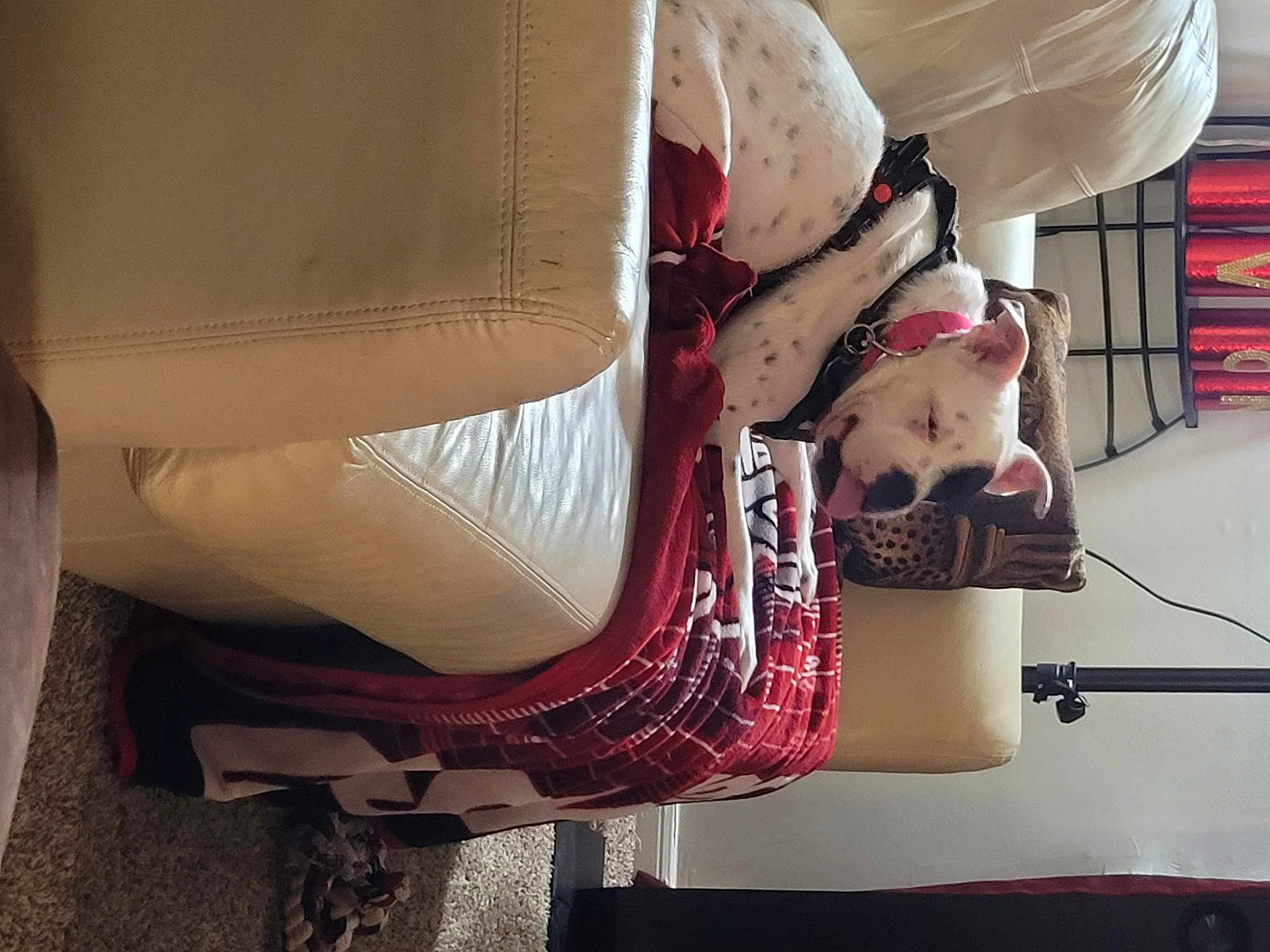 Luna