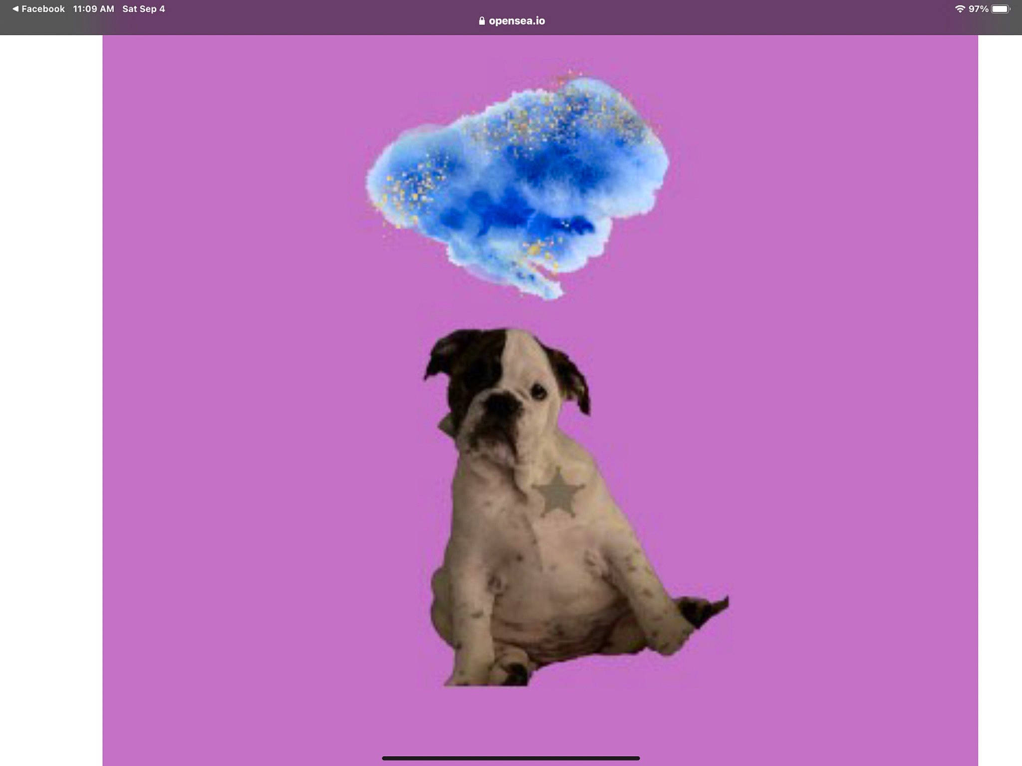 Daisy is registered to the contest to win money with this photo: adaptation, art, carnivore, companion_dog, dog, dog_breed, electric_blue, font, illustration, magenta, organism, paw, purple, rectangle, screenshot, snout, terrestrial_animal, violet, wildlife, working_animal