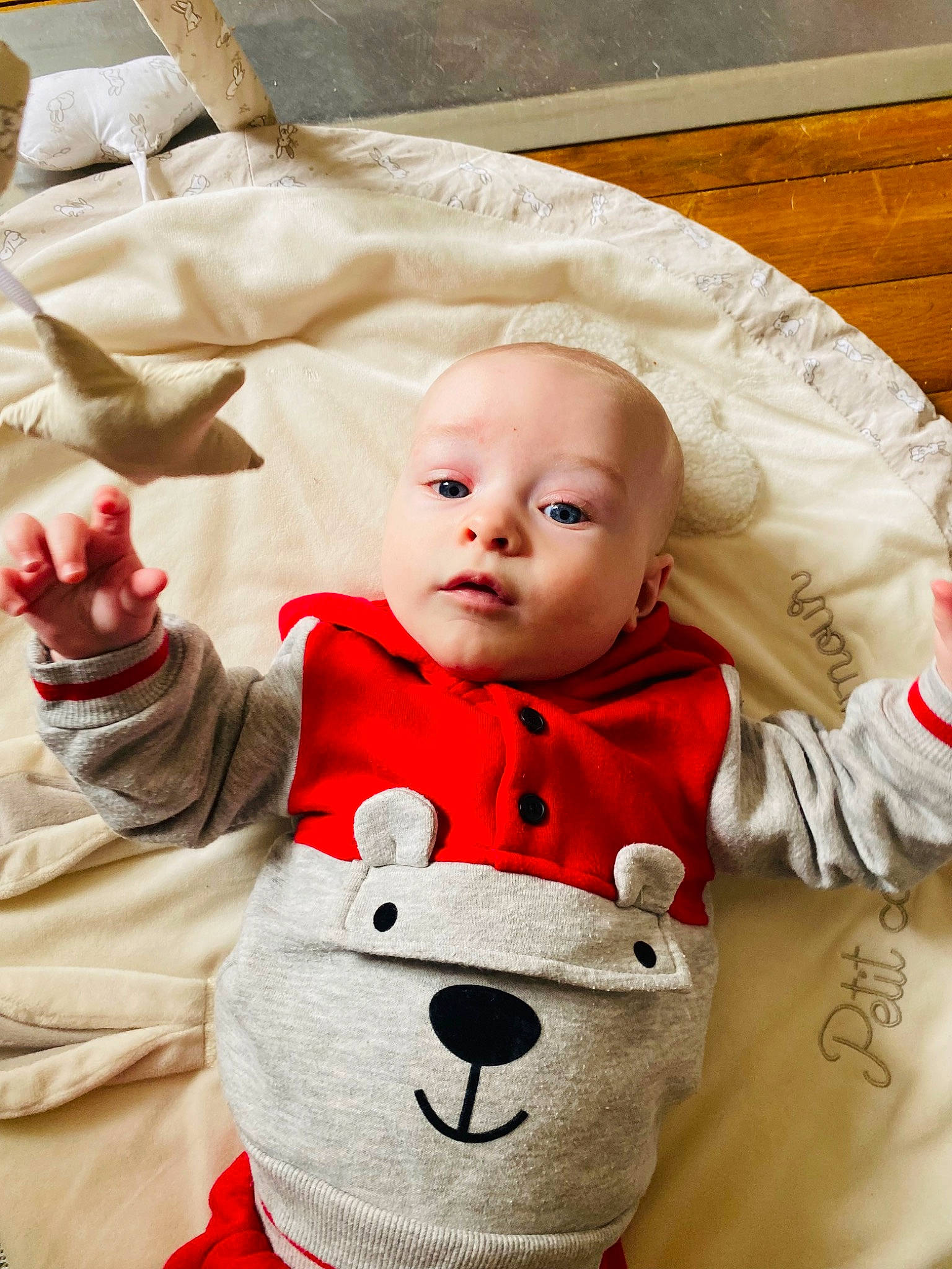 Leandro a rejoint le concours — aidez-le/la à gagner de superbes lots ! baby, baby_toddler_clothing, carmine, cheek, child, christmas, christmas_eve, comfort, event, facial_expression, fur, happy, linens, mammal, person, product, sitting, sleeve, textile, toddler