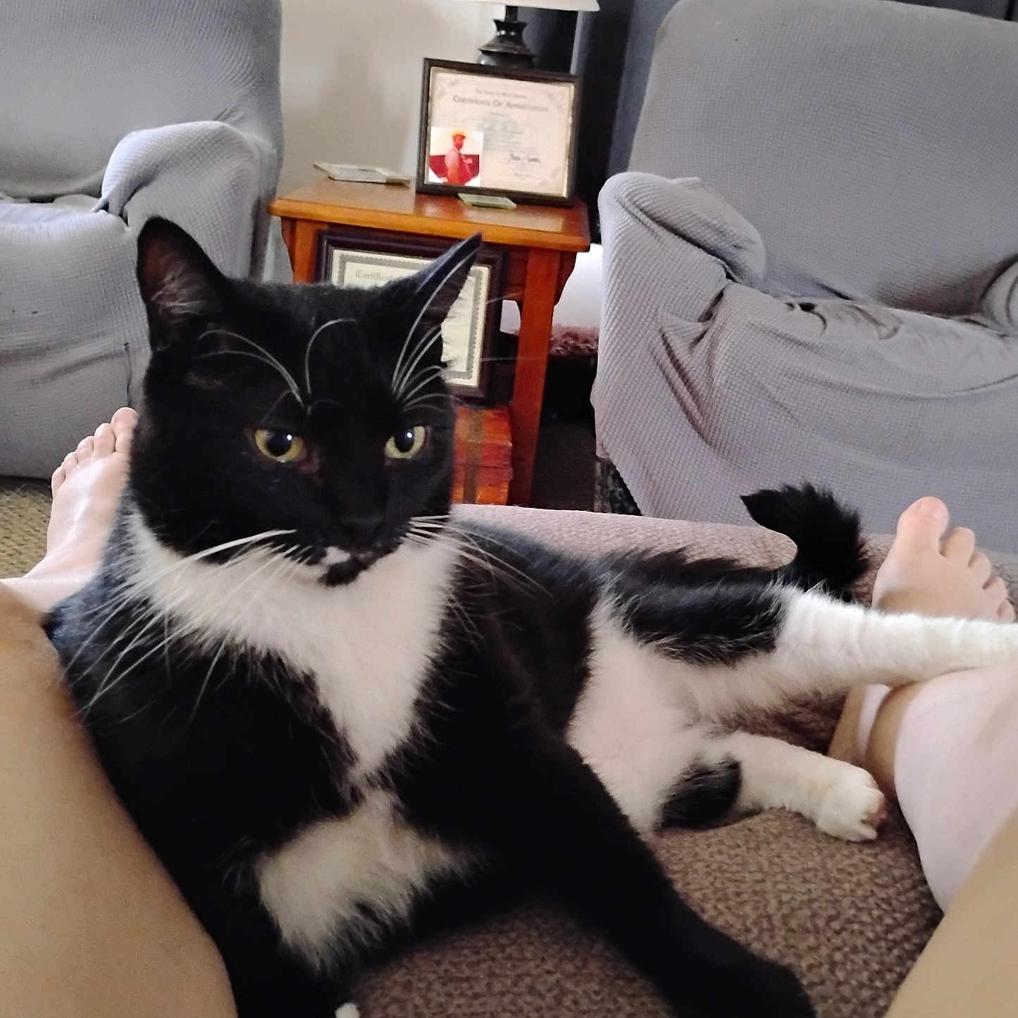 Rory