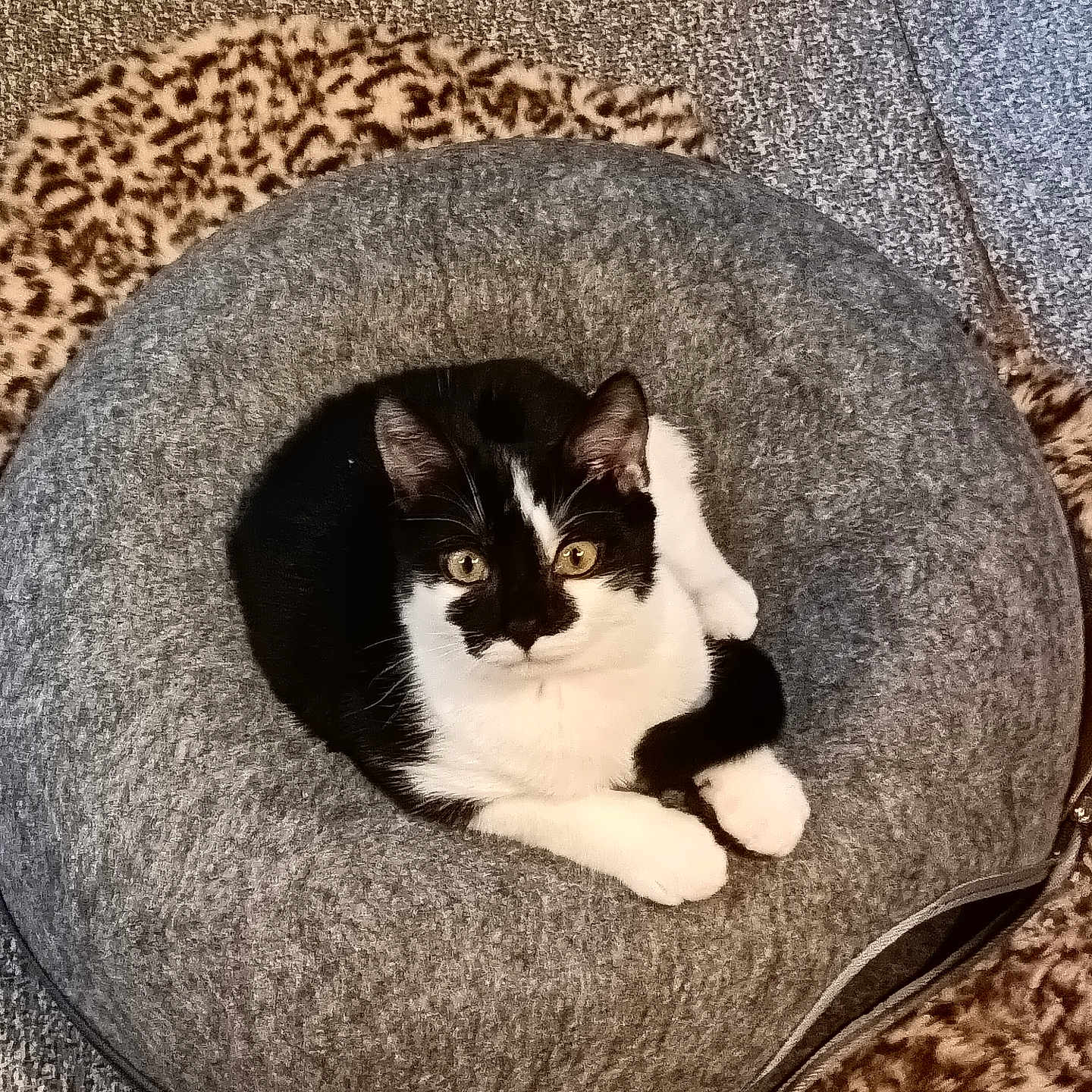 Saïko