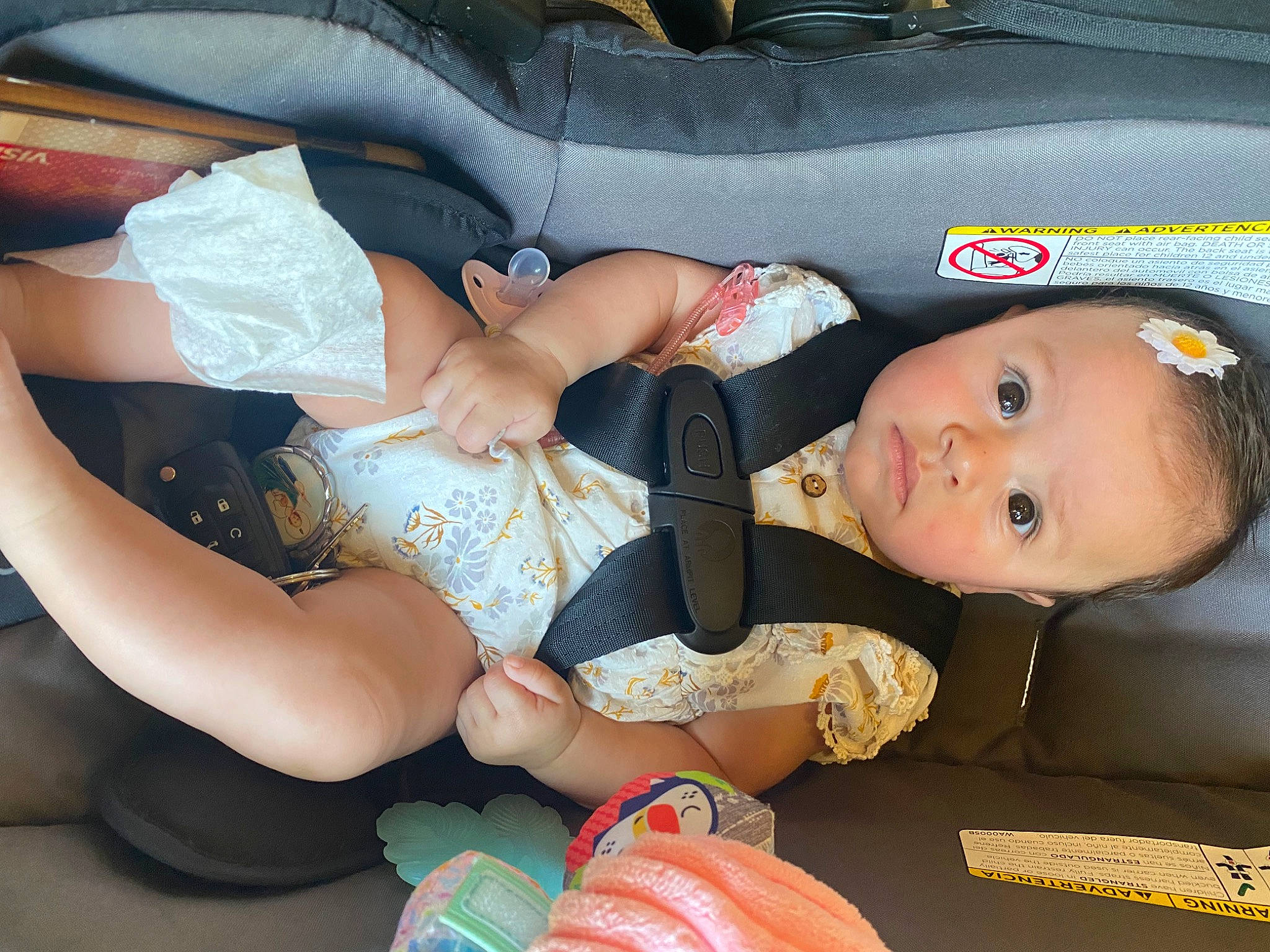 Aridai is registered to the contest to win money with this photo: baby, baby_products, baby_toddler_clothing, beauty, chest, child, comfort, elbow, finger, fun, human_body, human_leg, knee, lap, mouth, nail, person, textile, thigh, toddler