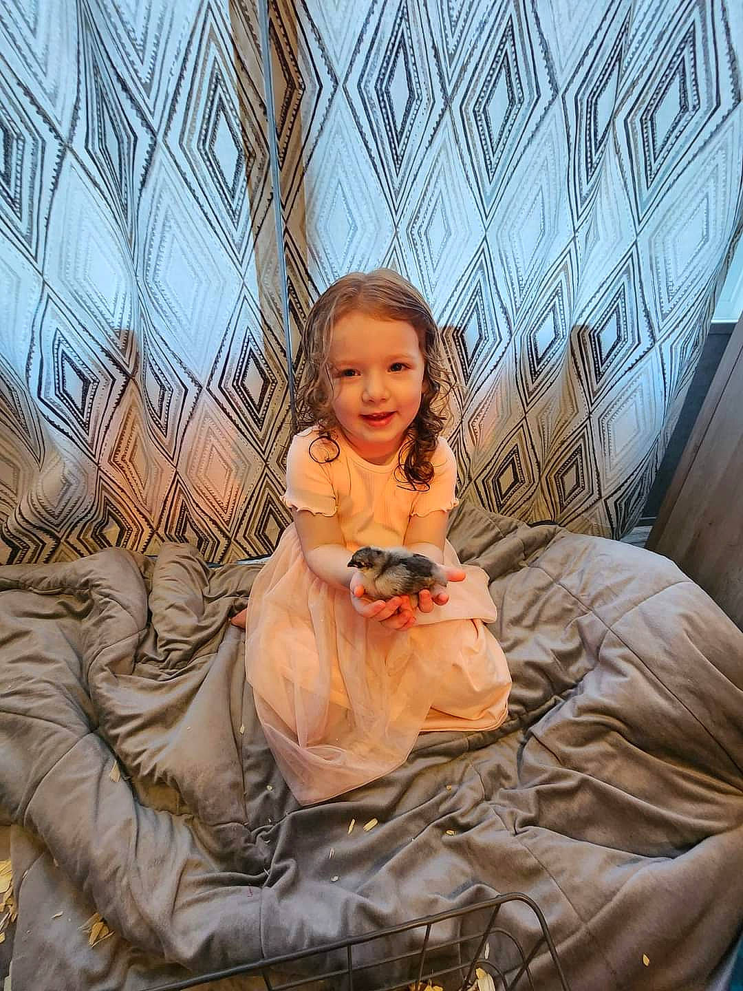 Rosemary joined the competition — help win amazing prizes! art, blond, bridal_accessory, cg_artwork, child, doll, dress, fashion_accessory, fashion_design, fawn, flash_photography, flooring, formal_wear, fun, hairstyle, joy, peach, person, sitting, toddler