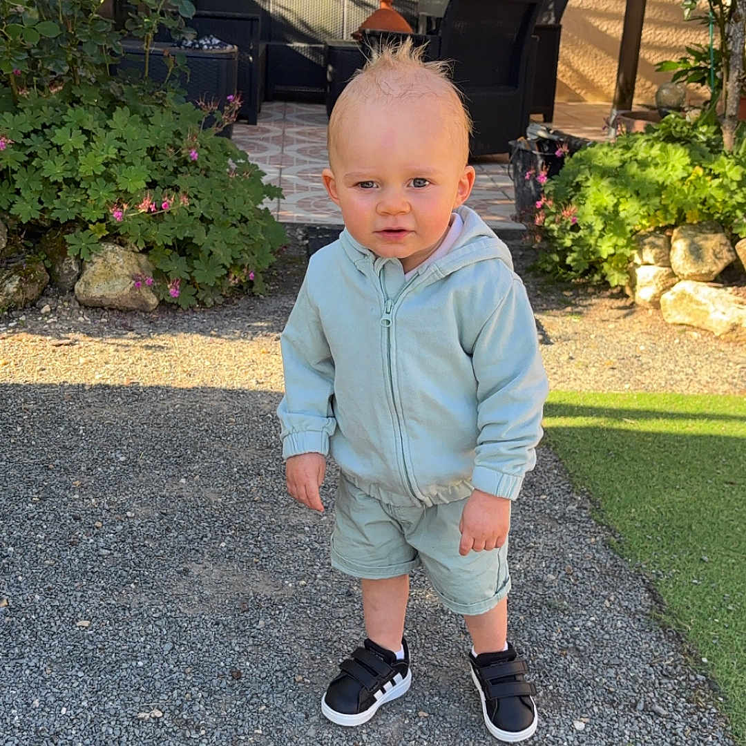 Tiago participe au concours pour gagner de l'argent avec cette photo : casual, child, curious, daylight, flowers, furniture, garden, gravel, greenery, hoodie, moawk, outdoor, patio, plants, portrait, shorts, sneakers, standing, sunlight, toddler