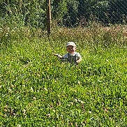 Tiago participe au concours pour gagner de l'argent avec cette photo : toddler, child, grass, wildflowers, meadow, nature, outdoor, greenery, cap, overalls, sunny, sky, trees, fence, daylight, portrait, sitting, curious, young_child, field
