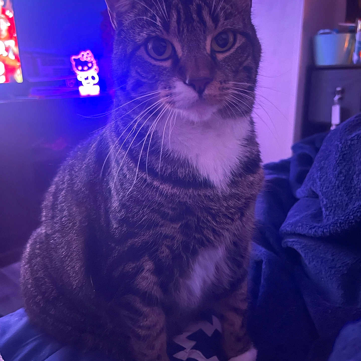 Juni