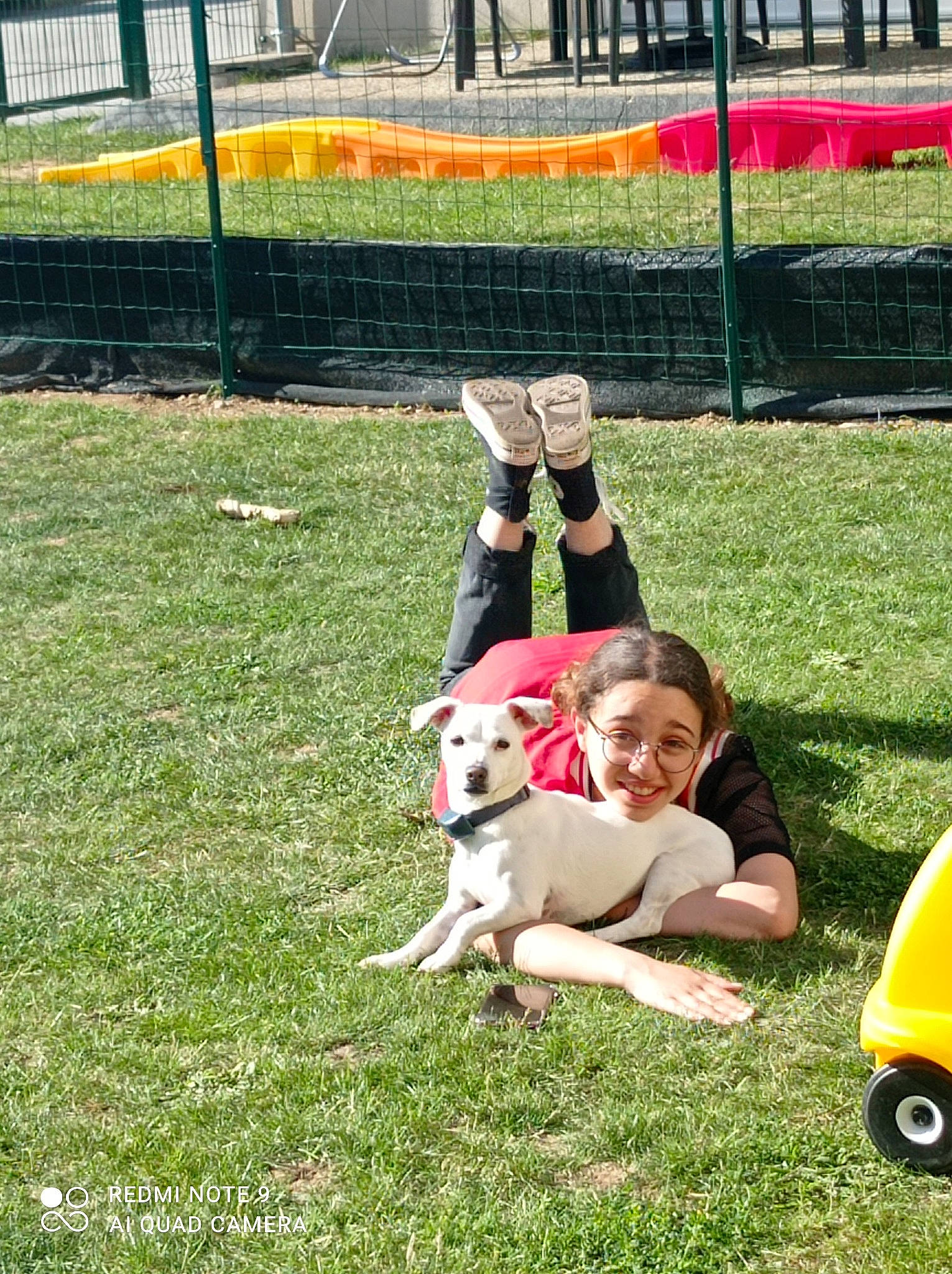 Rebelle a rejoint le concours — aidez-le/la à gagner de superbes lots ! carnivore, companion_dog, dog, dog_breed, fawn, fence, fun, grass, grass_family, grassland, hat, lawn, leisure, people_in_nature, plant, player, recreation, smile, toy, yellow