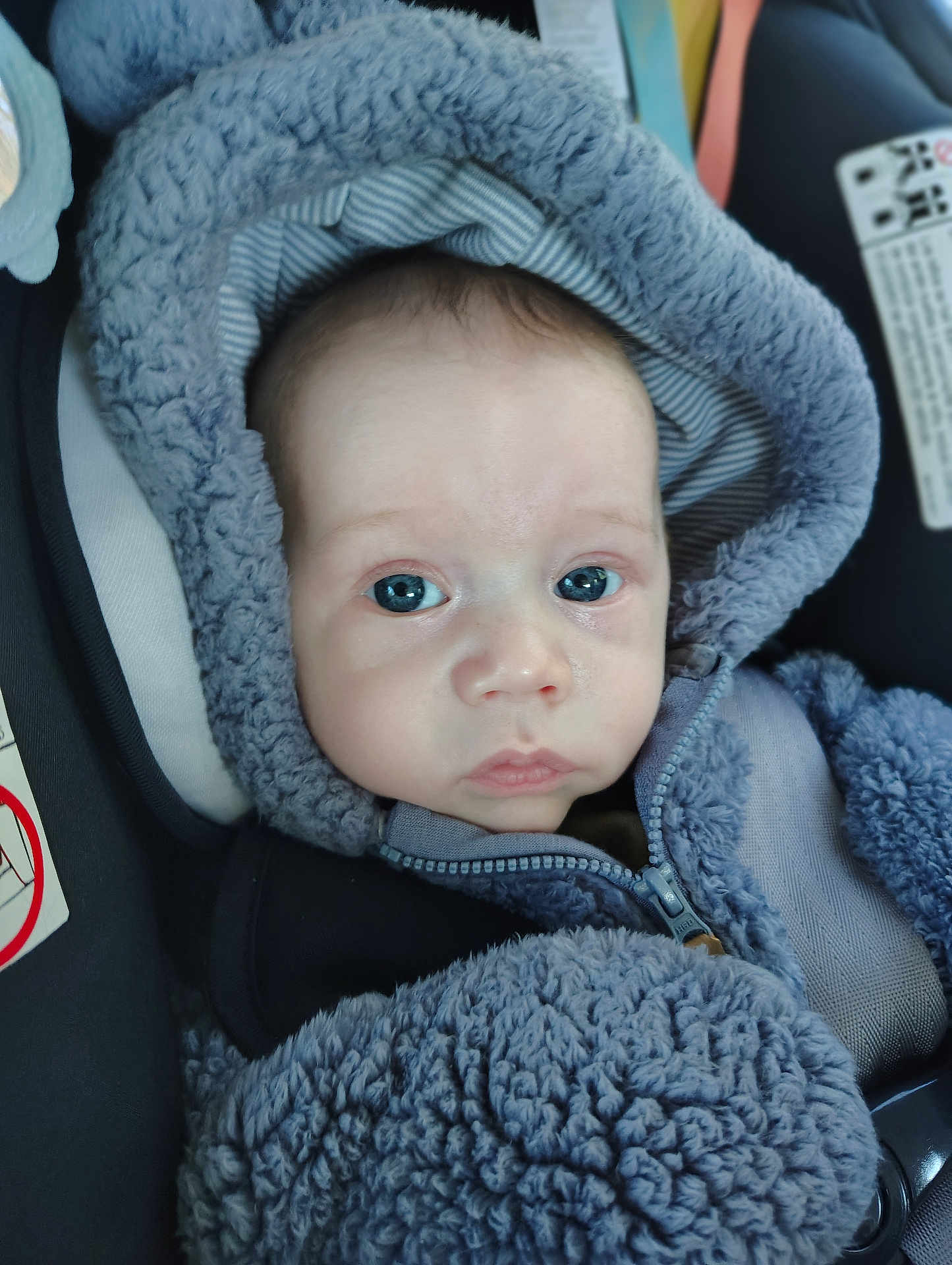 Arthur joined the competition — help win amazing prizes! baby, blue, bundle, car_seat, child, clothing, cute, expression, eyes, face, hoodie, indoor, infant, mouth, nose, portrait, soft, texture, warm, young