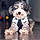 Charlie