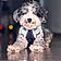 Charlie