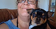 Chico is registered to the contest to win money with this photo: blue_shirt, brown, cabinet, couch, dog, ear, eyes, face, fur, glasses, holding, home, human, indoor, nose, person, pet, portrait, small_dog, smile