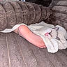 Ellie is registered to the contest to win money with this photo: animal, blanket, brown, cat, comfort, couch, cozy, cute, foot, fur, indoor, kitten, pet, relaxing, resting, small, soft, texture, warm, white