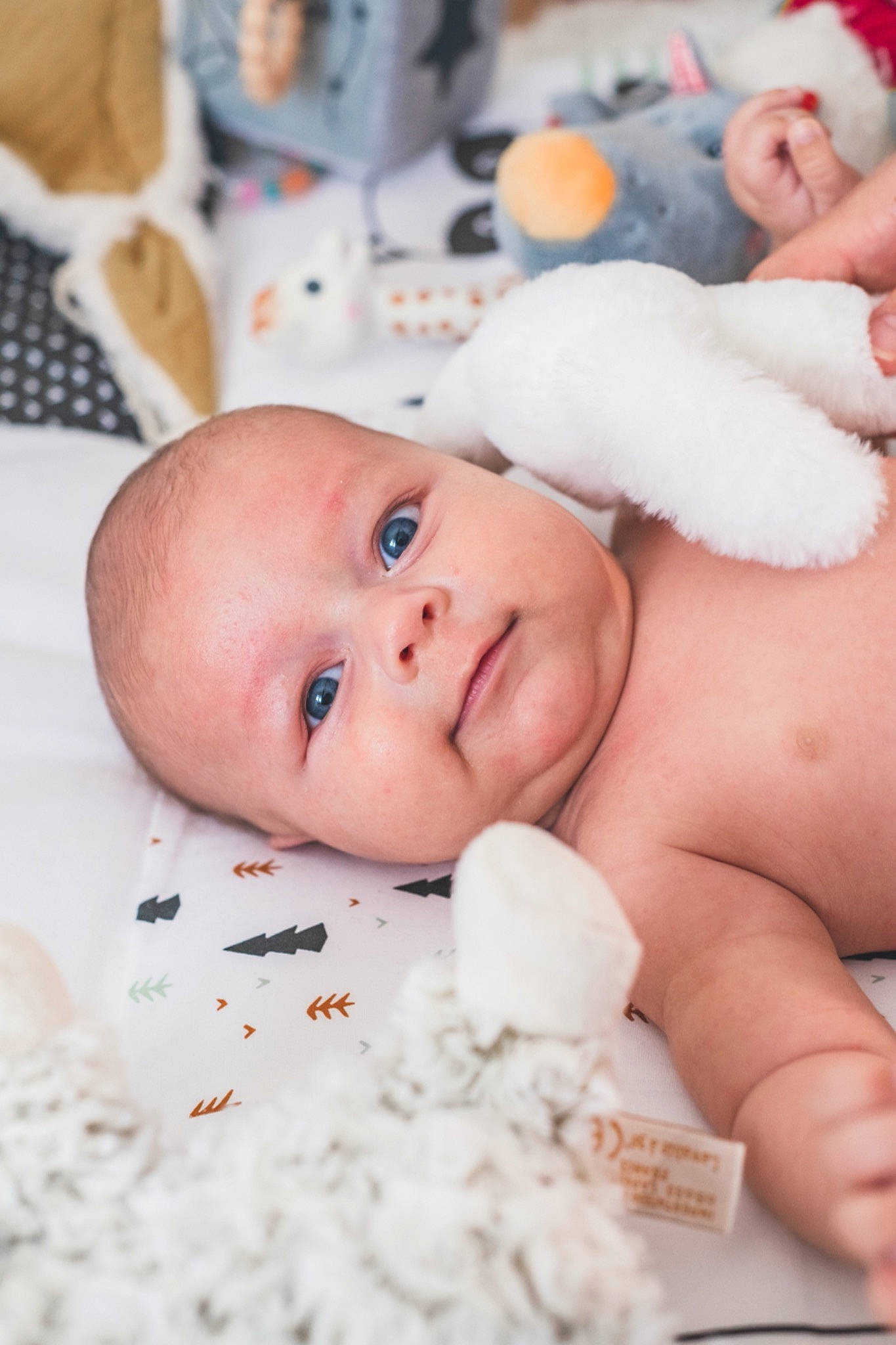Elio participe au concours pour gagner de l'argent avec cette photo : baby, baby_products, cheek, child, comfort, event, eyebrow, finger, happy, human_body, linens, mouth, nose, person, product, room, skin, smile, textile, toddler