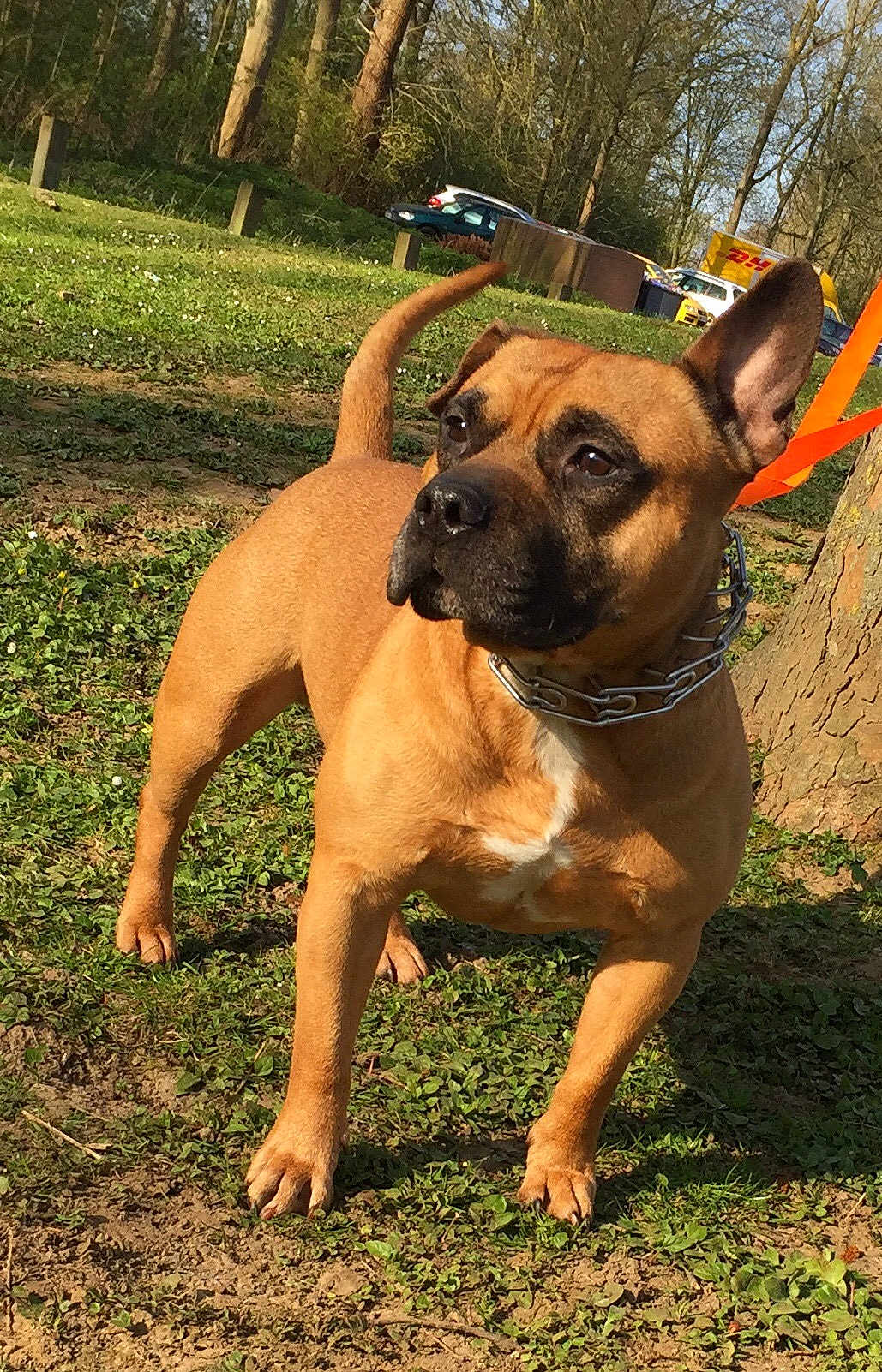Tyson