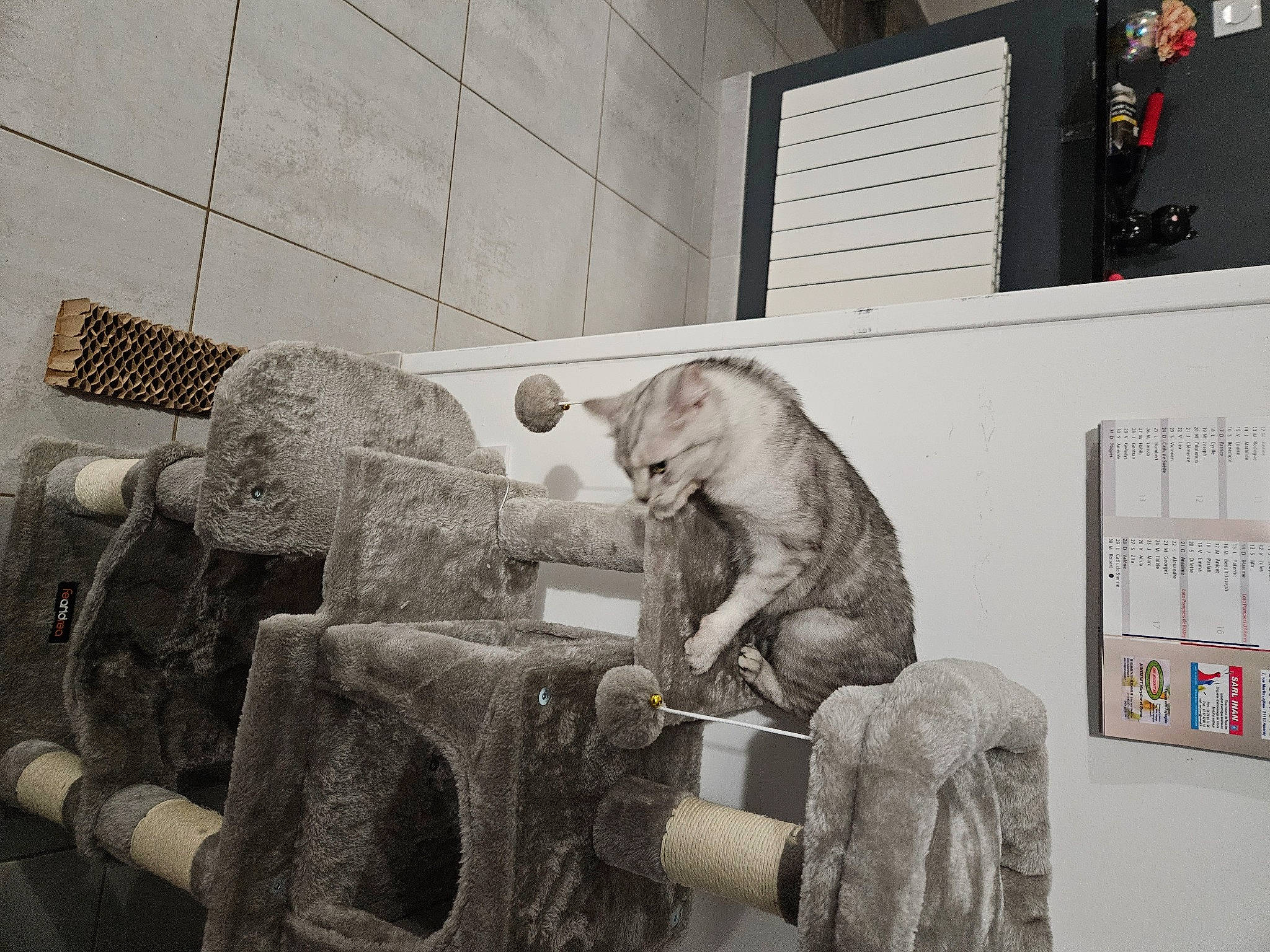 Ela participe au concours pour gagner de l'argent avec cette photo : art, automotive_design, automotive_tire, carving, collection, drawing, fur, history, illustration, interior_design, machine, monochrome, monochrome_photography, painting, picture_frame, room, sculpture, still_life_photography, toy, visual_arts