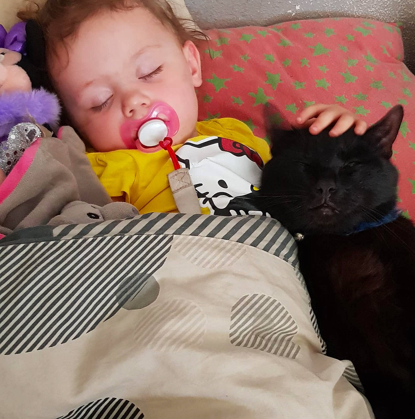 Pepsi participe au concours pour gagner de l'argent avec cette photo : carnivoran, cat, cat_like_mammal, child, infant, kitten, mammal, nap, person, play, product, sitting, skin, sleep, small_to_medium_sized_cats, textile, toddler, vertebrate, whiskers