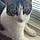 Izzy