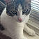 Izzy