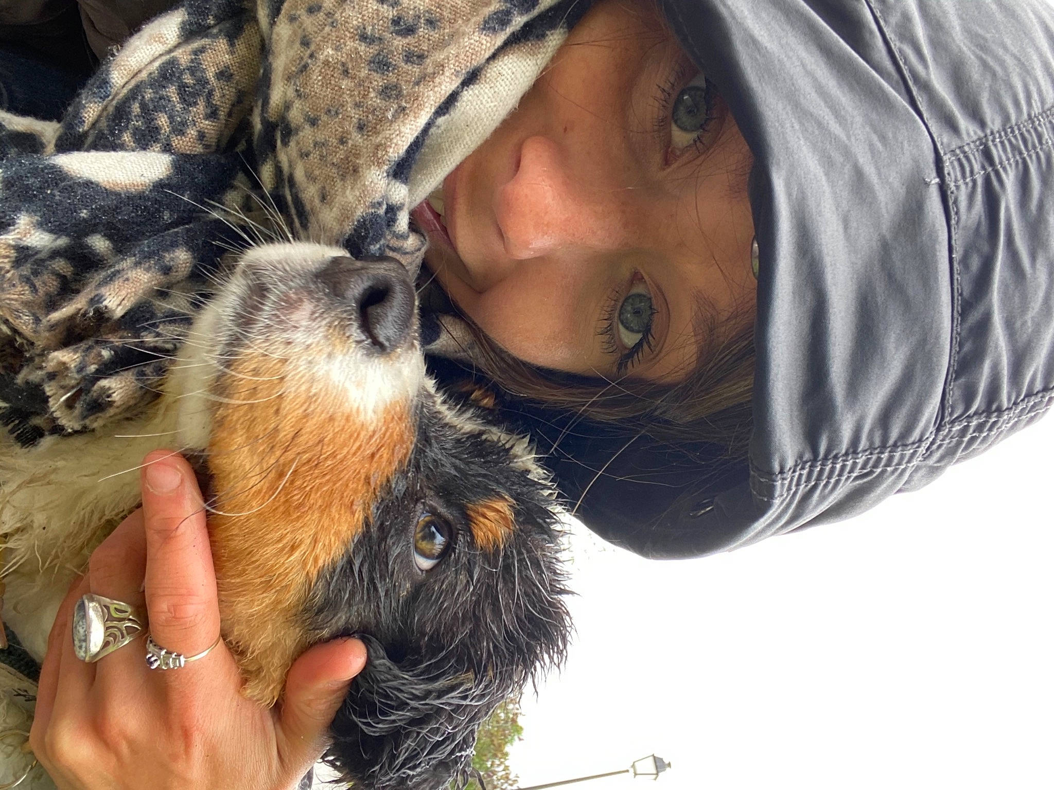 Rnest participe au concours pour gagner de l'argent avec cette photo : beard, black_hair, canidae, carnivore, companion_dog, dog_breed, eyewear, facial_hair, fawn, felidae, fur, hand, happy, mammal, smile, snout, sunglasses, vertebrate, whiskers, wildlife_biologist