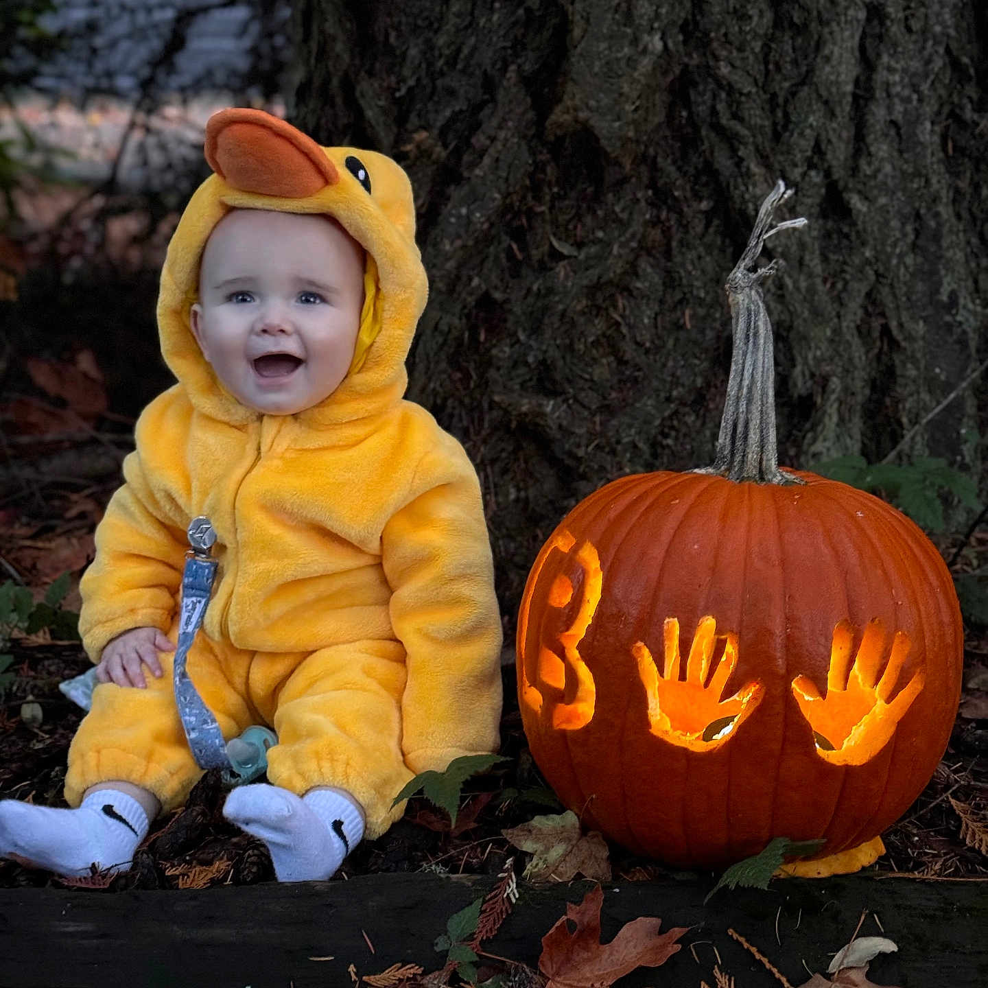 Hank is registered to the contest to win money with this photo: baby, clothing, coat, costume, face, festival, food, halloween, head, hood, jack_o_lantern, leaf, person, photography, plant, portrait, produce, pumpkin, squash, vegetable